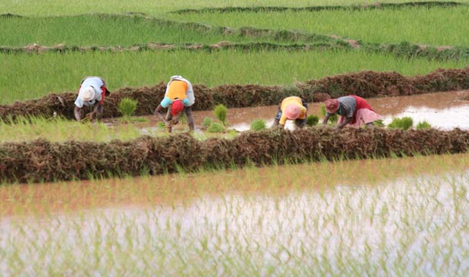 Les Hautes Terres - 3