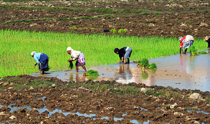 Les Hautes Terres - 5