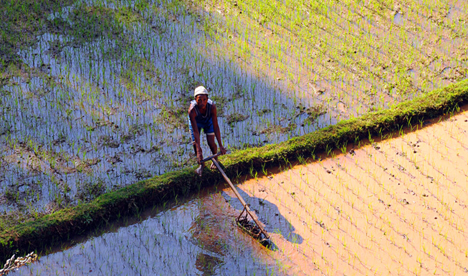 Les Hautes Terres - 8
