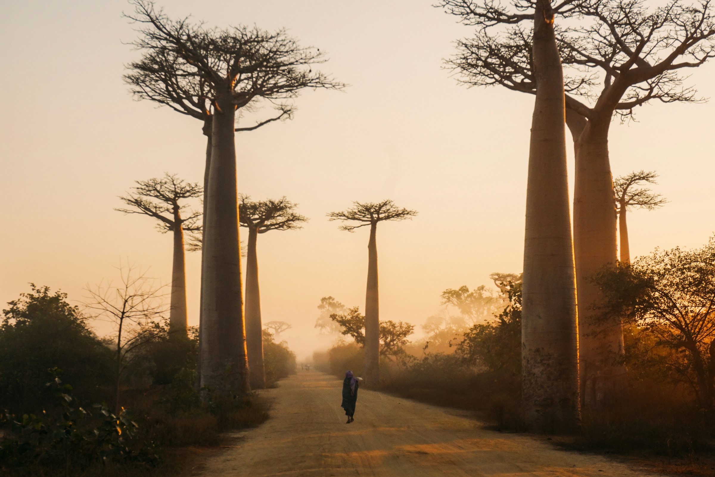 Madagascar landscapes